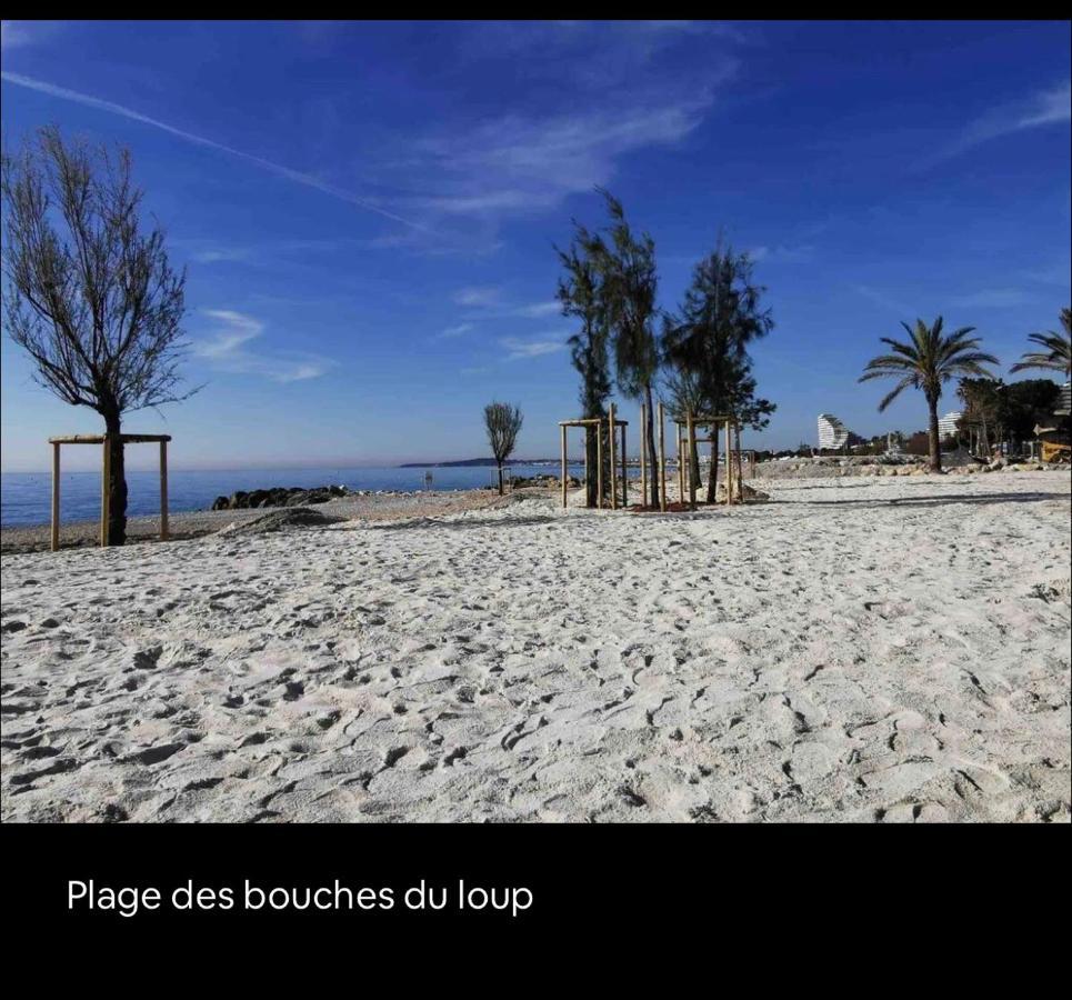 Appartamento Loft Marina Direct Plage Villeneuve-Loubet Esterno foto