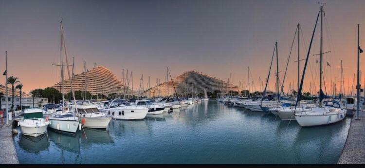 Appartamento Loft Marina Direct Plage Villeneuve-Loubet Esterno foto